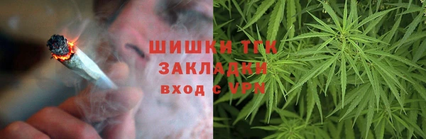 дмт Елизово