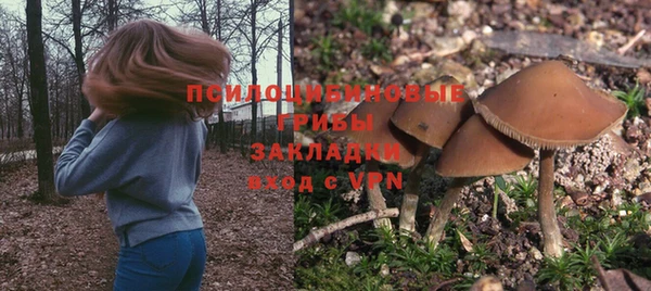 ECSTASY Навашино