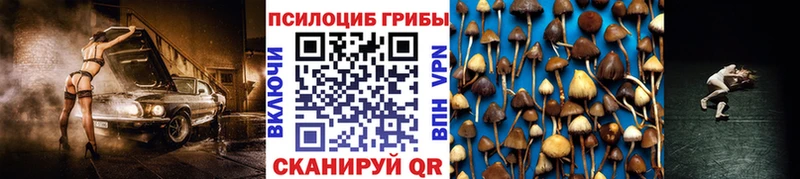 Галлюциногенные грибы Magic Shrooms  Дрезна 